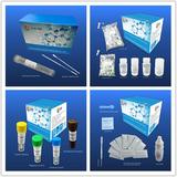 COVID-19 PCR test kit set: sample tube,RNA kit,RNA extractor